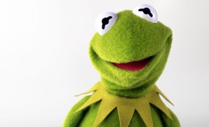 the-muppets-kermit-frog_186034